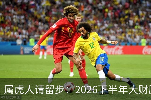 属虎人请留步：2026下半年大财压身，这三条来钱路太准了！