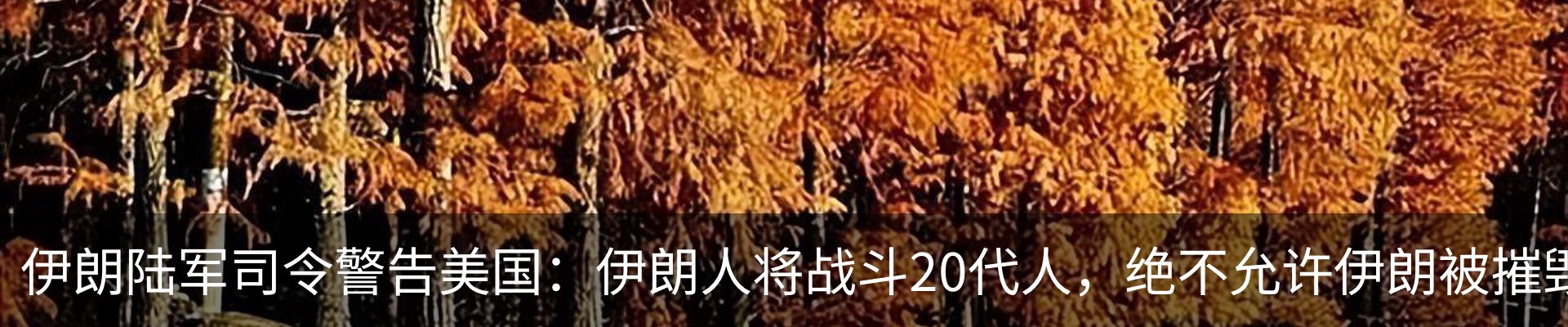新闻中心